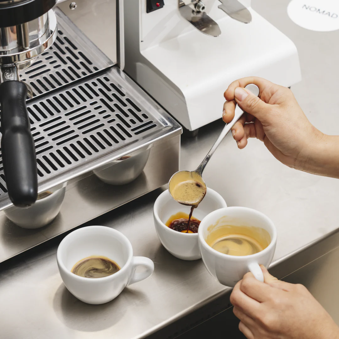 BÁSICO BARISTA